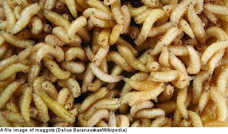 Care home reported for maggots in man's foot