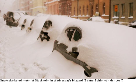 Transport standstill as storm lashes Stockholm