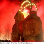 Arsonists hot on the hooves of Gävle goat