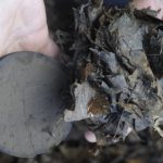 New technology turns leaves to coal in hours