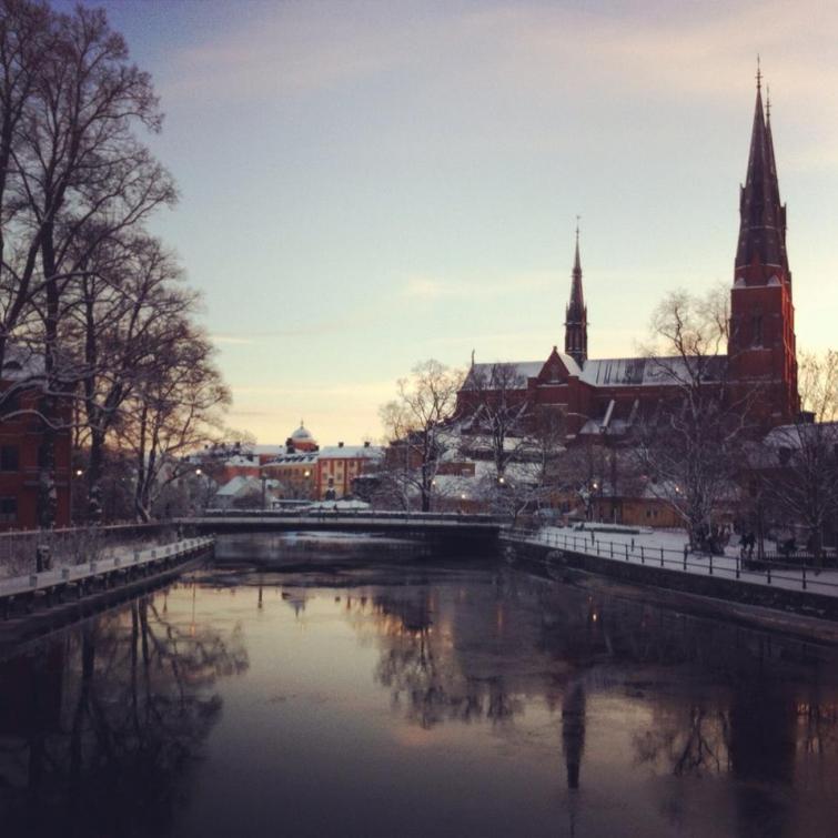 The Uppsala Cathedral<br>"Even if you’re not religious it is so impressive," says student Harold Martinez.Photo: Oliver Gee