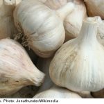 Brits accused in Sweden garlic smuggling racket