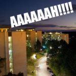 Swedish students’ howls echo across the world