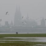Germany to get 20C warmer in two days