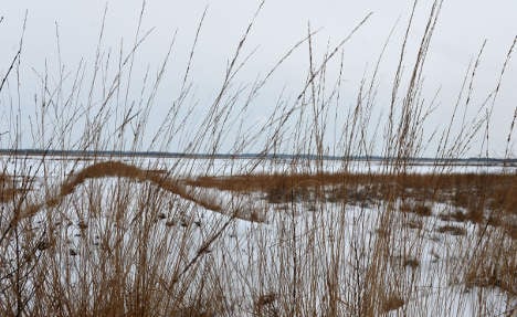 German wetlands 'nearly all gone'