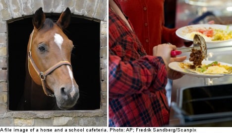 Swedish schools may have served horsemeat