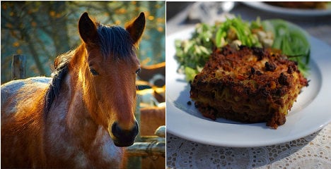 French store finds horsemeat in lasagnes