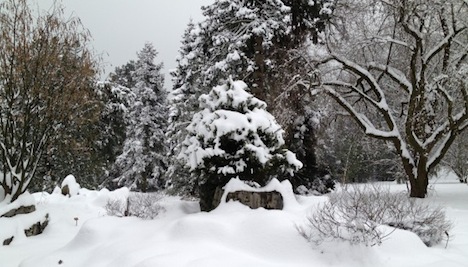 Renewed heavy snow strikes Lake Geneva area