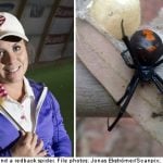 Swedish golfer tees out spider venom