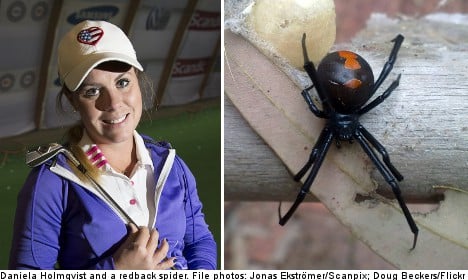 Swedish golfer tees out spider venom