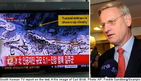 Bildt slams 'provocative' North Korea nuke test