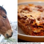 Swedish horsemeat scandal grows