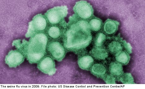 Swine flu strikes back in Sweden: 'it's here to stay'