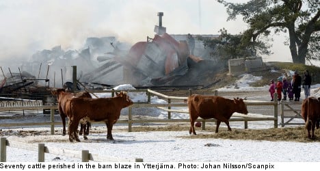 Swedish farm school blaze kills 70 cattle