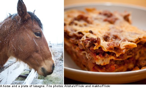 Horsemeat lasagne sent to Stockholm's homeless