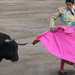 YouTube pulls plug on bloody bullfights
