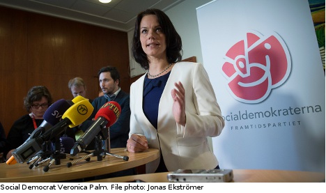 Palm re-elected by Social Democrats in Stockholm