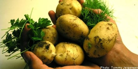 'Too many potatoes on Swedes' plates': expert