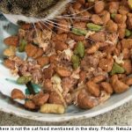 Swedish cat-food mum loses custody of baby