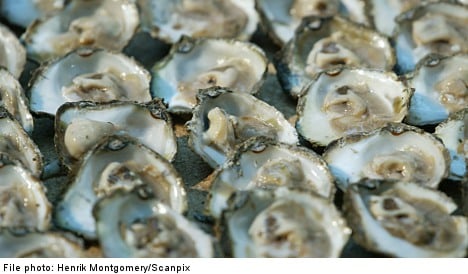 French oyster lovers to munch on Swedish spats