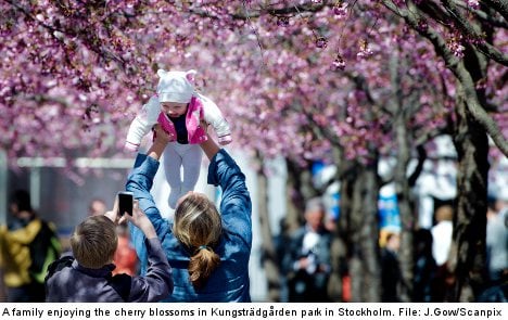 Swedes lead 'second best lives' in the world: study