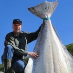 Fisher snags monster halibut off Norway