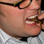 Insect eating proposal leaves bad aftertaste