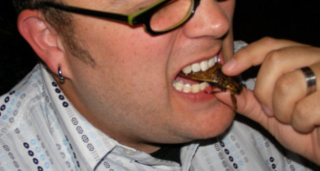 Insect eating proposal leaves bad aftertaste