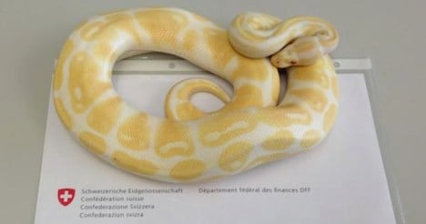 Border guards seize pythons at French border