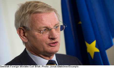 Bildt disarms nuke critics in shock radio show call
