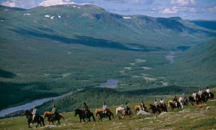 Horse trek, LapplandPhoto: Staffan Widstrand/imagebank.sweden.se