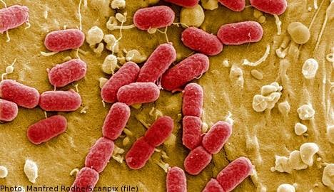 Bacteria pose ‘ever greater risk’ to Sweden