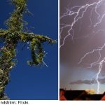 Thunderstorms threaten Swedish Midsummer