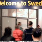 ‘Foreigners give more to Sweden than they get’