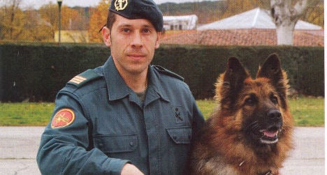Spanish bomb dog nabs top UK bravery award