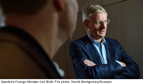 Bildt in Twitter row over Egyptian violence