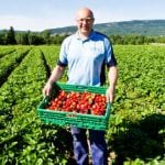 Imports soar along with Norwegians’ berry love