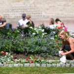 One woman lays a rose at the memorial outside the Oslo Cathedral, two years after the terrorist attacks on July 22nd, 2011 in Oslo and on Utøya.Photo: Heiko Junge / NTB Scanpix
