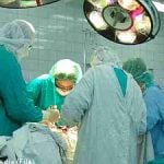 Hospital ships organs to wrong countries