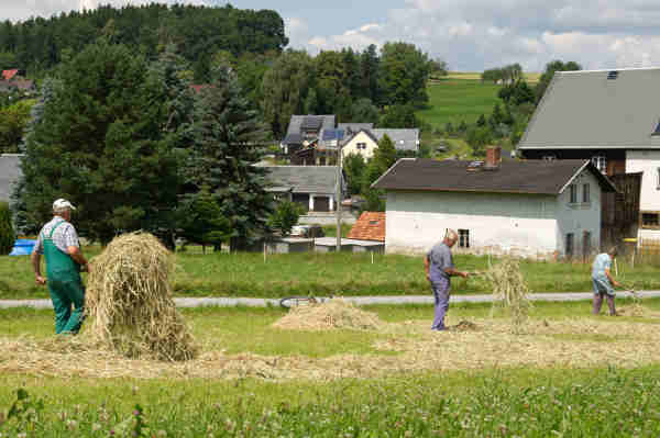 <b>Work on a farm:</b> Spend the summer outdoors. The website workawayinfo.com has adverts for Germans needing help with their building projects and farms. The family will put you up. Photo: DPA