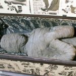 Mummy found in attic could be 2,000 years old
