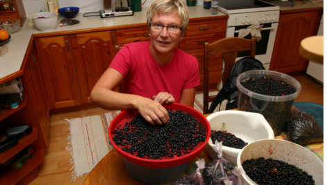 Norwegians revel in record berry haul