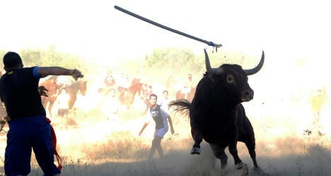 Bull takes on village in savage Spanish festival