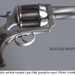 Vilks guards beat artist in ‘cocked’ pistol mix-up
