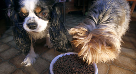 Dog food alert after 20 pooches perish