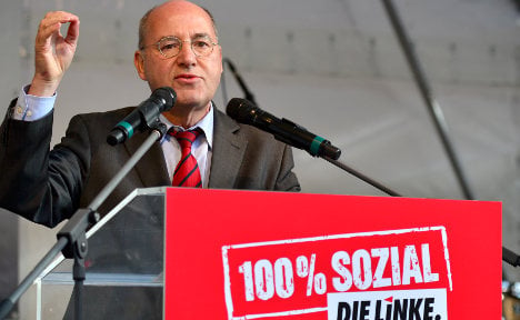 Your Guide – The Left Party (Die Linke)