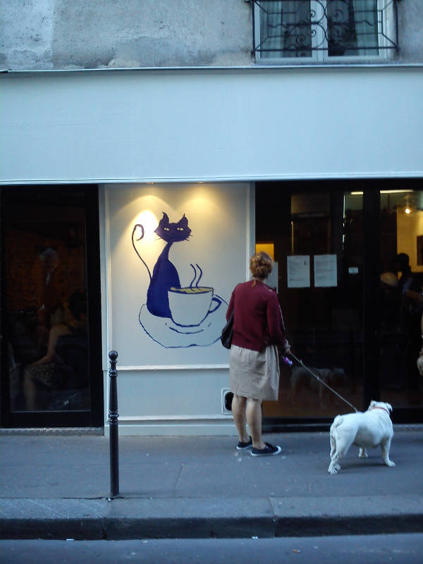 Have a peek around France’s first ‘cat café’ in Paris