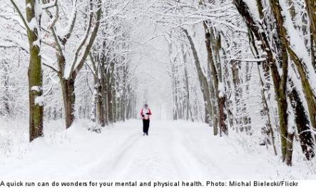 <font size="5">Eight tips for surviving winter</font><br>With days shortening and winter just around the corner, Stockholm nutritionist Kate Nordin offered The Local eight top tips to get through the winter. <br> <a href="http://www.thelocal.se/50556/20131002/" target="_blank"> Click here to gear up for winter.</a>