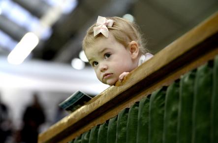 One-and-a-half-year-old Estelle eagerly watches the tennis match.Photo: Pontus Lundahl/TT