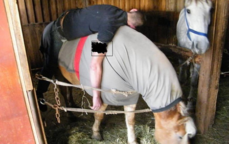 Drunk man falls asleep on top of horse